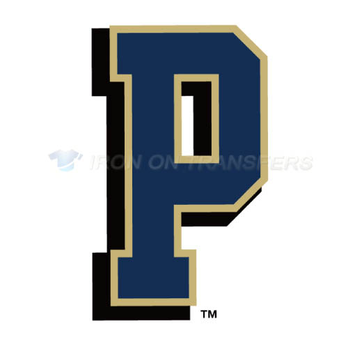 Pittsburgh Panthers Iron-on Stickers (Heat Transfers)NO.5899